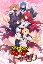 Cover Highschool DxD, Poster Highschool DxD
