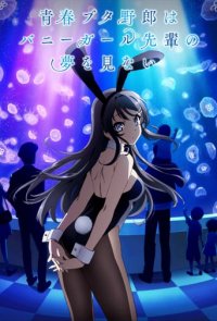 Cover Rascal Does Not Dream of Bunny Girl Senpai, Rascal Does Not Dream of Bunny Girl Senpai
